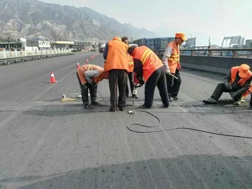 樟树道路桥梁病害治理